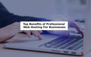 Top Benefits of Professional Web Hosting For Businesses