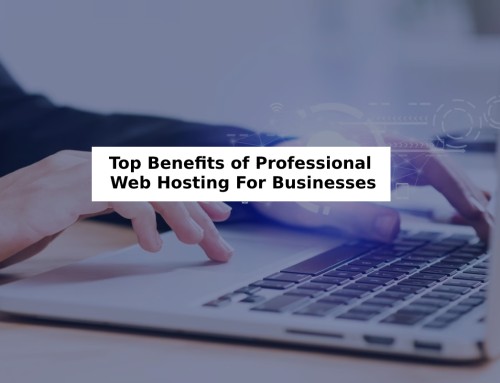 Top Benefits of Professional Web Hosting for Businesses